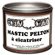 mastic a cicatriser